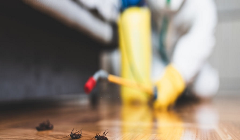 Pest Control Professionals