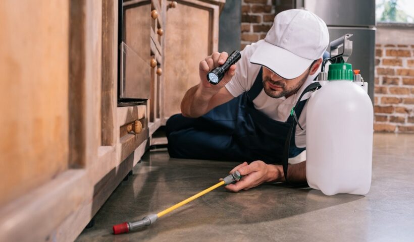 Guide to Pest-Proofing Every Room