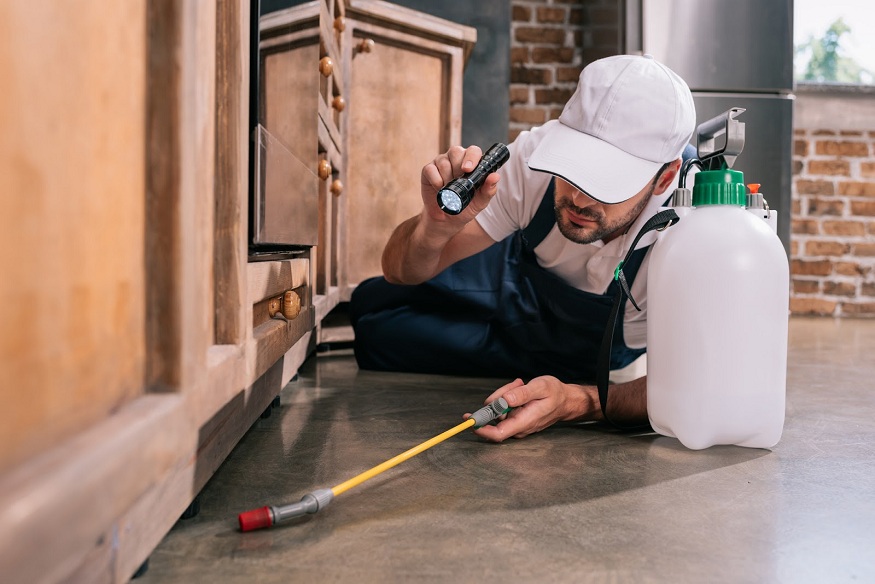 Guide to Pest-Proofing Every Room