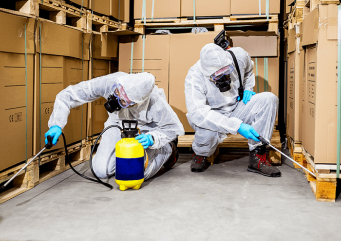 Pest Control Company
