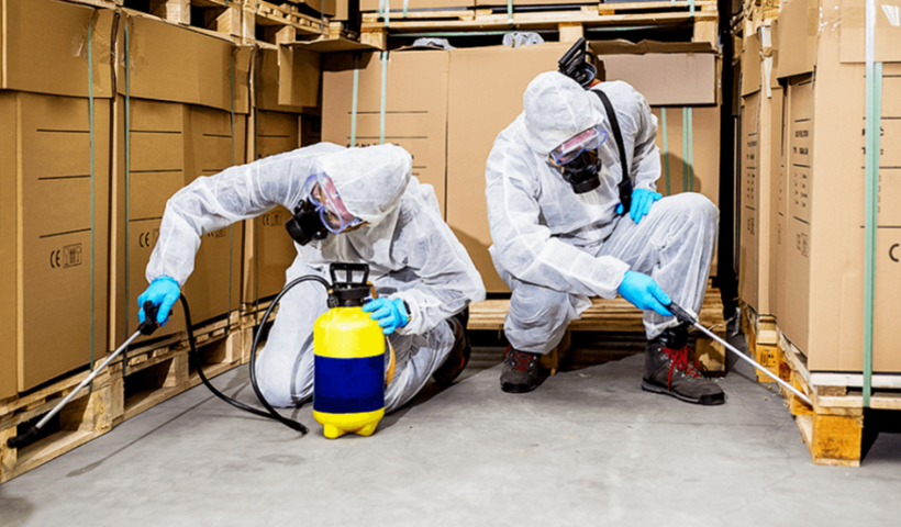 Pest Control Company