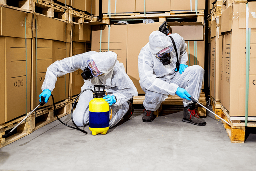 Pest Control Company
