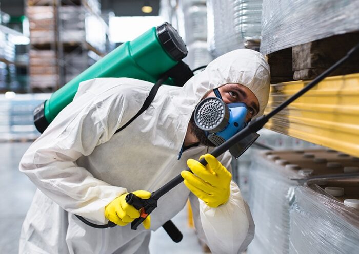 Routine Pest Control