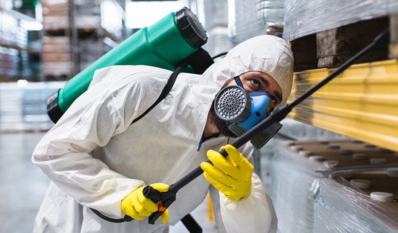 Routine Pest Control