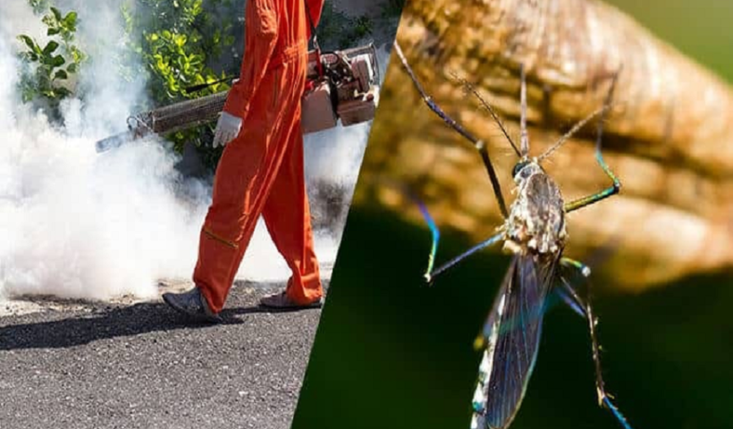 Mosquito Control
